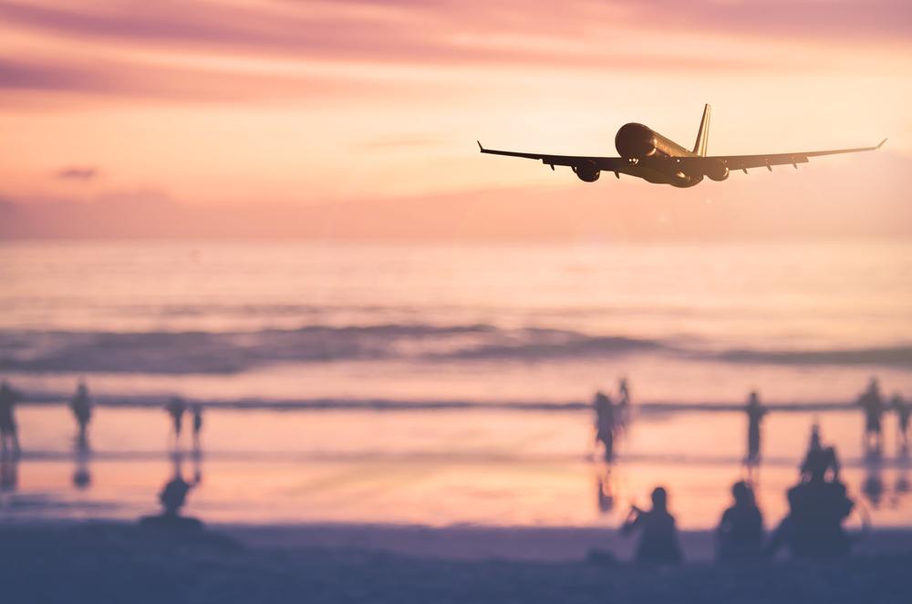 Flight Landing on Island